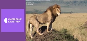 Д/с "Выжить в дикой природе", 1 и 2 с.