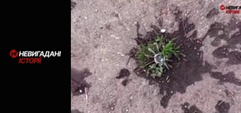 Невигадані історії. Східний фронт.