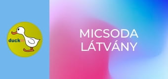 Micsoda látvány Micsoda látvány