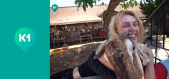 "Пригоди з Яною Метьолкіною".