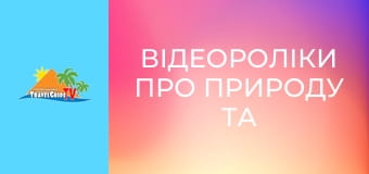 Відеороліки про природу та тварин. Відеороліки про природу та тварин.