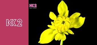 Квадратний метр E7