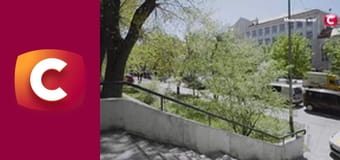 "Сліпа". Без пари. "Сліпа". Без пари.