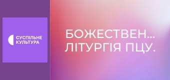 Божественагайна Літургія ПЦУ.