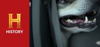 Звезды ломбарда: По всей Америке, 2 сезон, 12 эп. Сокровища двух городов.