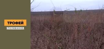 Трофейне полювання Сезон 1 Епізод 44