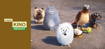 Секрети домашніх тварин Секрети домашніх тварин