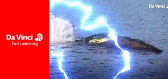 Изобретения - Мастер собачьей пищи