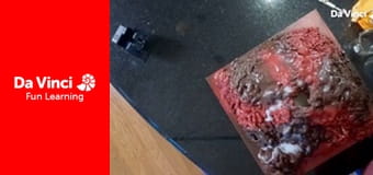 Дослідження: «Наука вдома» - Науковий ярмарок