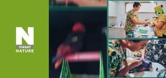 The Bizarre Pet Vets - Episode 6