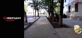 Невигадані історії.