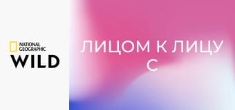 Лицом к лицу с акулами с Берти Грегори