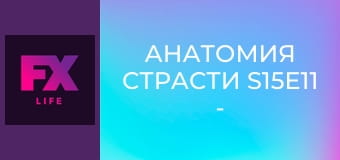 Анатомия страсти S15E11 - Победитель заберет все.