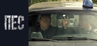 Dog, Season 3, Episode 21