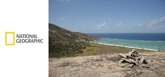 Осушить океан S4E8 - Первые американцы