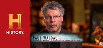 Необъяснимое с Уильямом Шетнером, 16 эп. Удивительные способности животных.