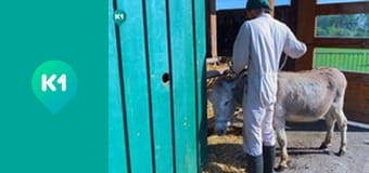 "Інший світ".