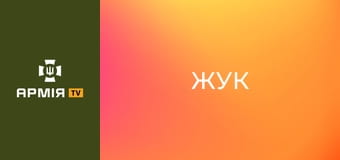 10 запитань командиру. "Жук". 424 окремий батальйон SVAROG СБС || СБС: Сили безпілотних систем.