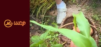 Сезон 6, Випуск 4, Частина 8