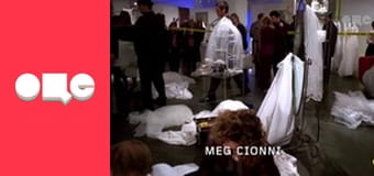 Т/с "CSI: Місце злочину - Нью-Йорк", 5 сезон, 12 с.