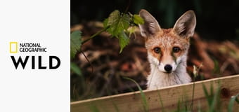 Европа: один континент, пять миров S1E2