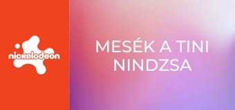 Mesék a tini nindzsa teknőcökről S1E12 - A Gyöngy