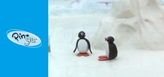 Pingu Сезон 3 Епізод 14 Pingu Сезон 3 Епізод 14