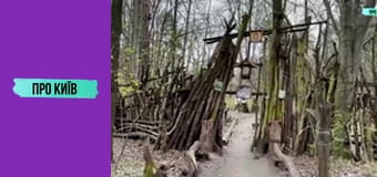 Містичні місця сили Голосіївського лісу.