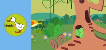 Color Clara - Colours of Spring