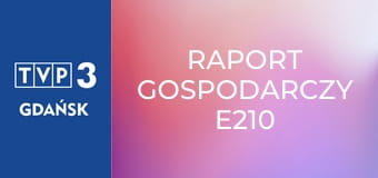 Raport gospodarczy E210 Raport gospodarczy E210