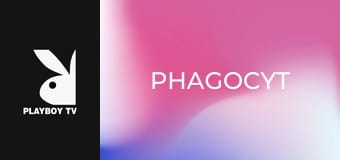 Phagocyt