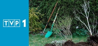 Rok w ogrodzie extra E409 Rok w ogrodzie extra E409