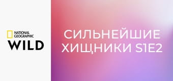 Сильнейшие хищники S1E2