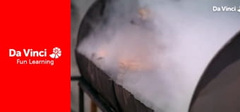 Matilda and the Ramsay Bunch - The BBQ Beef