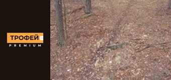 Мисливець на браконьєрів. Серiя 11