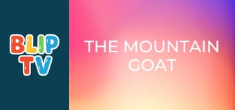 The Mountain Goat The Mountain Goat