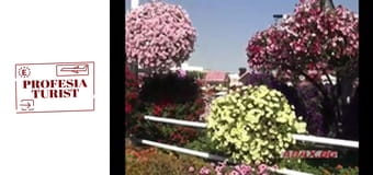 Градината на чудесата в Дубай Градината на чудесата в Дубай