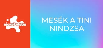 Mesék a tini nindzsa teknőcökről S1E1 - Leonardo magára marad