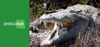 Kreatywni zabójcy S1E3 - Otwarta przestrzeń Kreatywni zabójcy S1E3 - Otwarta przestrzeń