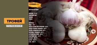 Мисливські рецепти Сезон 1 Епізод 22