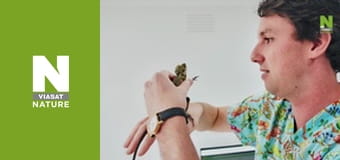 Клиника странных животных - Серия 2