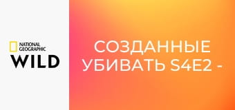 Созданные убивать S4E2 - Полярный медведь