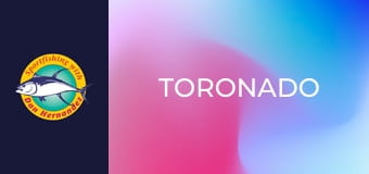 Toronado Toronado