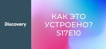 Как это устроено? S17E10 - Вересковые украшения/Мгновенное фото
