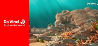 Детеныши - Рыбы-попугаи