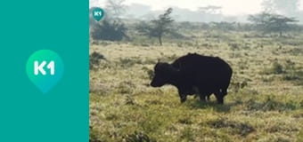 "Світ_огляд с Машей Себовой".