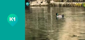 "Інший світ".