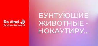 Бунтующие животные - Нокаутирующая улитка-конус