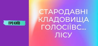 Стародавні кладовища Голосіївського лісу під загрозою забудови. Китаївська пустинь зникне.