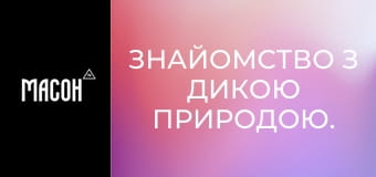 Знайомство з дикою природою. Якарські каймани. Боротьба за виживання в Пантаналі. Знайомство з дикою природою. Якарські каймани. Боротьба за виживання в Пантаналі.